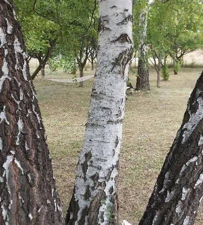 別荘 Kremna Cottage