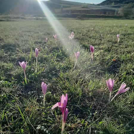 Kremna Cottage * Kremna