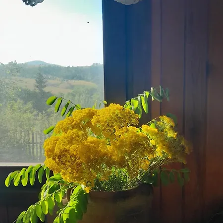 Kremna Cottage 別荘 *