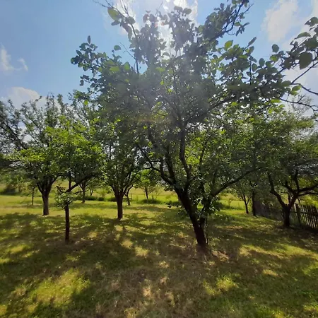 Kremna Cottage 別荘 *