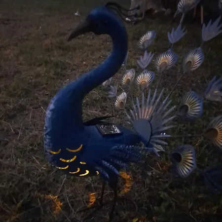 Kremna Cottage 別荘 *