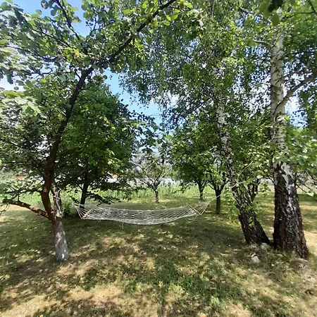 Kremna Cottage 別荘 *