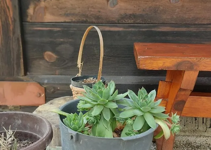 Kremna Cottage Casa vacanze