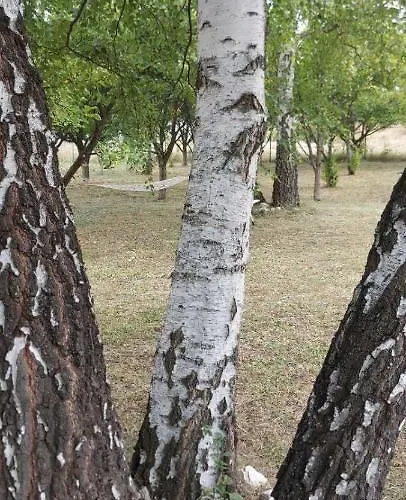 Casa vacanze Kremna Cottage