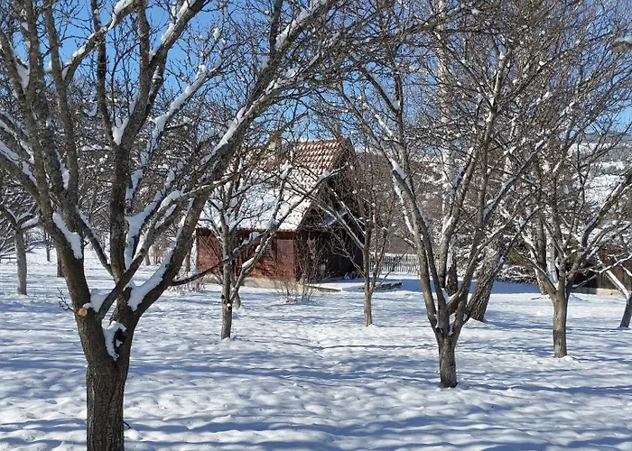 Kremna Cottage 펜션 Kremna