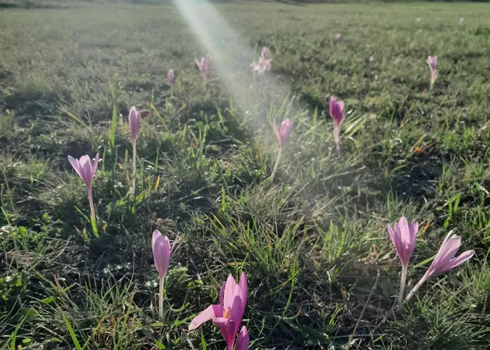 Kremna Cottage * Kremna