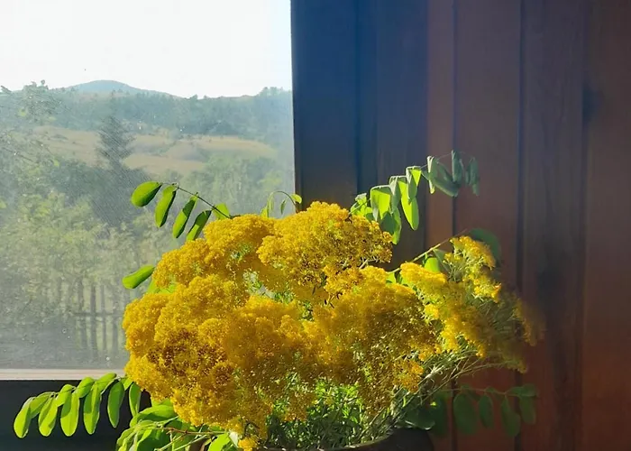 Kremna Cottage Casa vacanze *