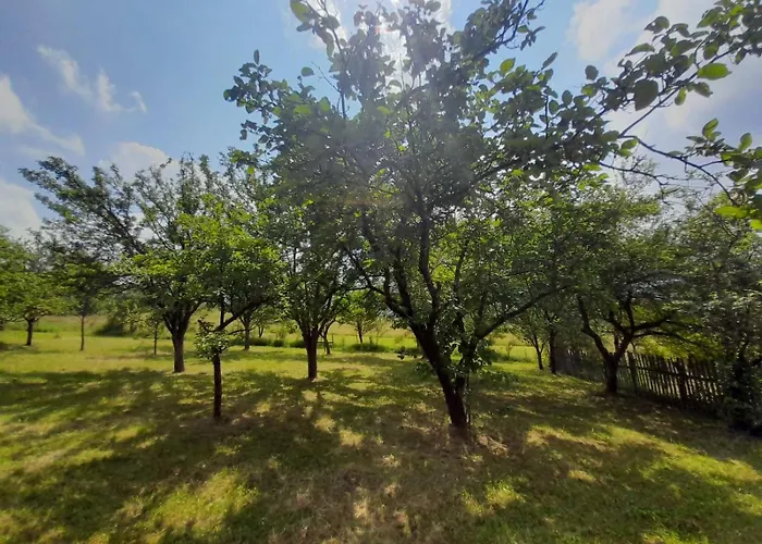 Kremna Cottage Casa vacanze *