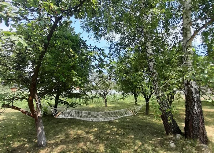 Kremna Cottage 펜션 *